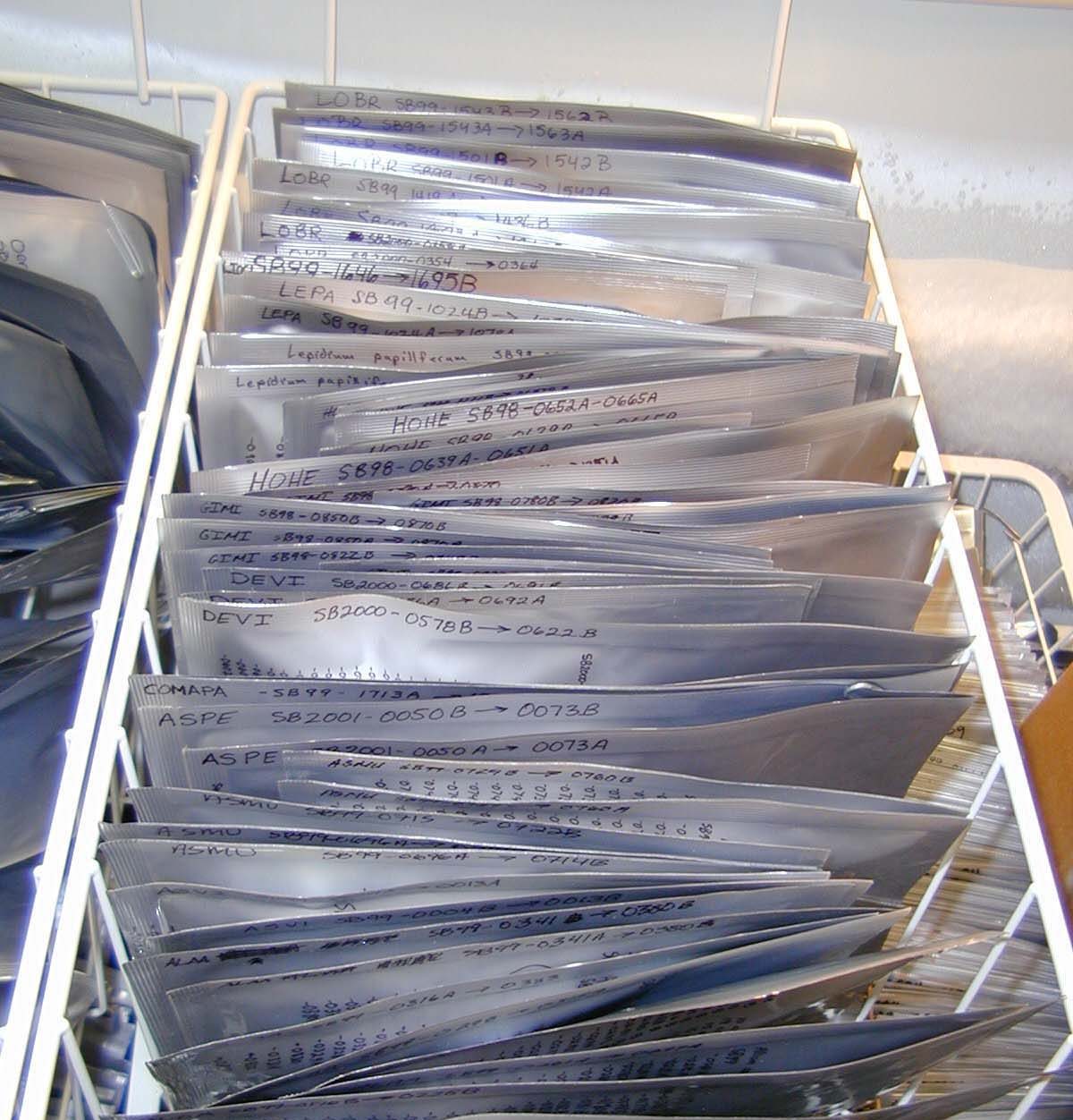 Image of seed envelopes in storage rack