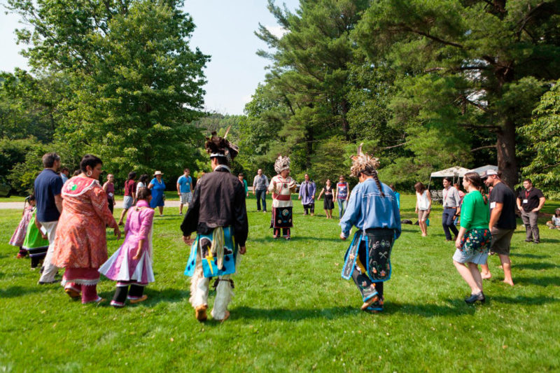 White pine Haudenosaunee planting.