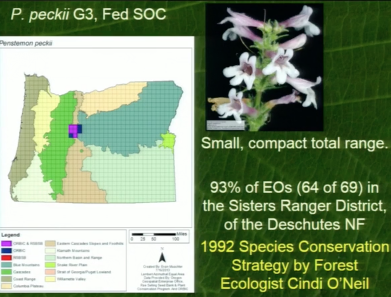 Screenshot from Penstemon peckii Soil Seed Bank Study at 25 Years video