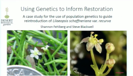 Screenshot from Using Genetics to Inform Restoration video