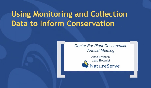 Screenshot from Using Monitoring and Collection Data to Inform Conservation Status Assessments video