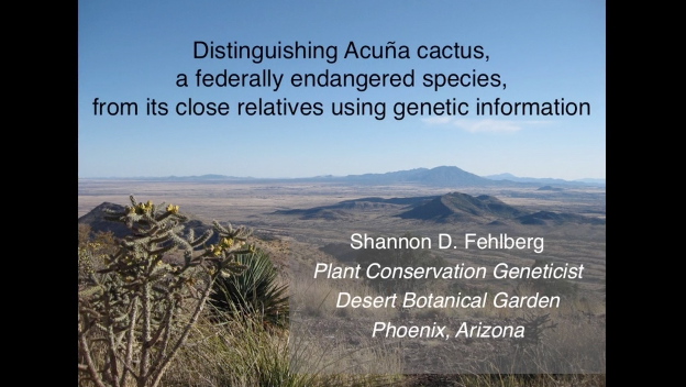 Screenshot from Distinguishing Acuña cactus, a federally endangered species, from its close relatives using genetic information video