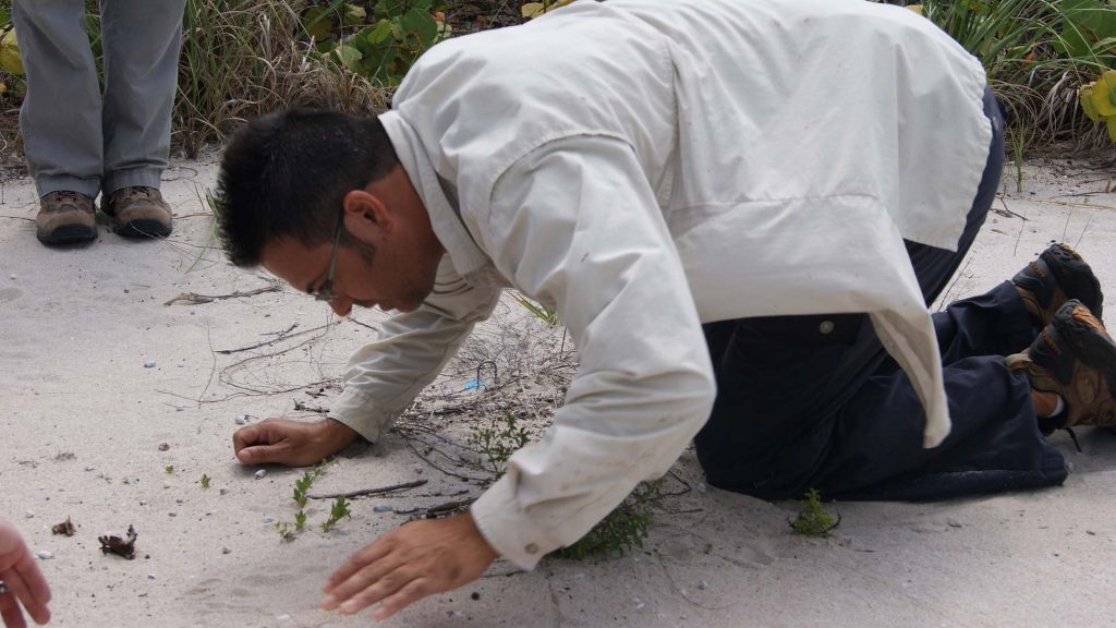 checking-Jacquemontia-reclinata-seedlings_0