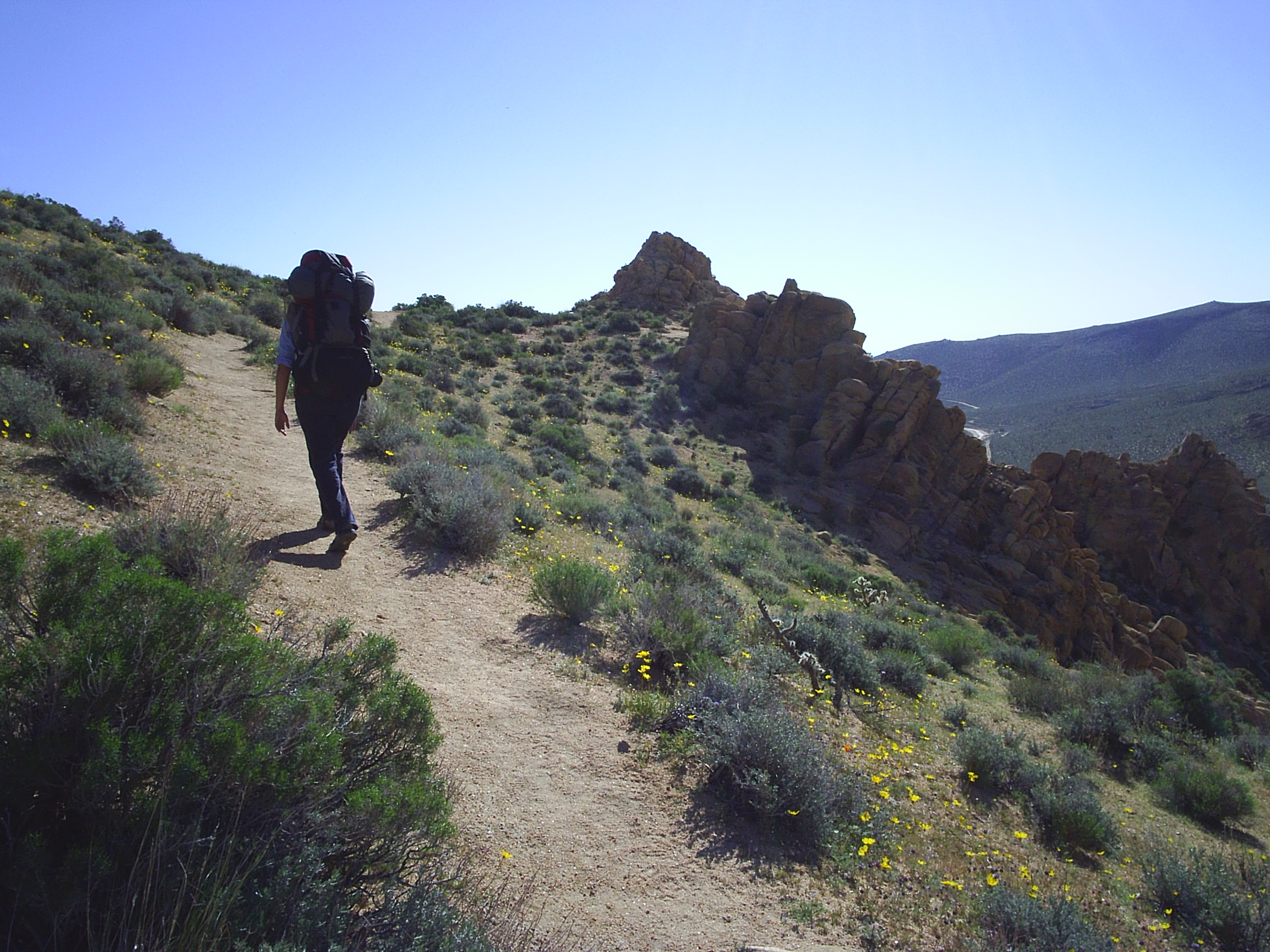 Naomi Fraga in the field working on her master's project.