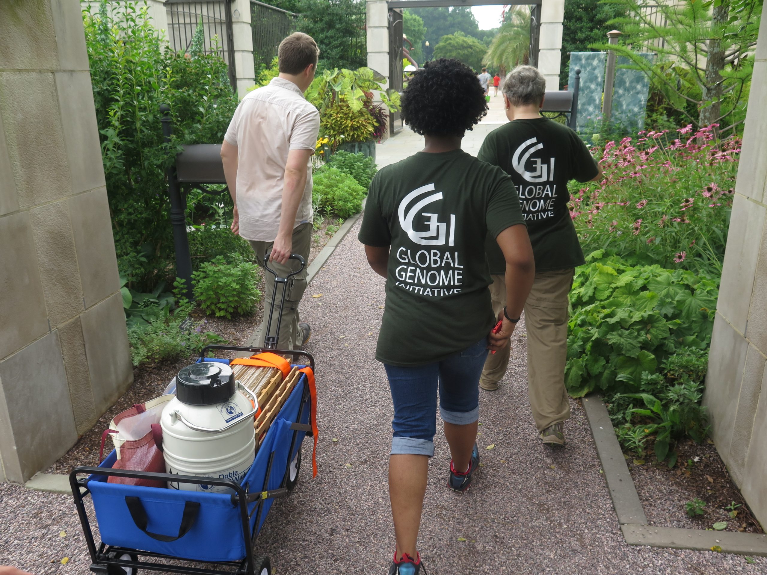 GGI-Gardens collection team sampling at the United States Botanic Garden in Washington, DC. L to R: GGI-Gardens Director, Dr. Morgan Gostel, Smithsonian YES! Intern, Asia Hill, and GGI-Gardens Founder, Dr. Vicki Funk.