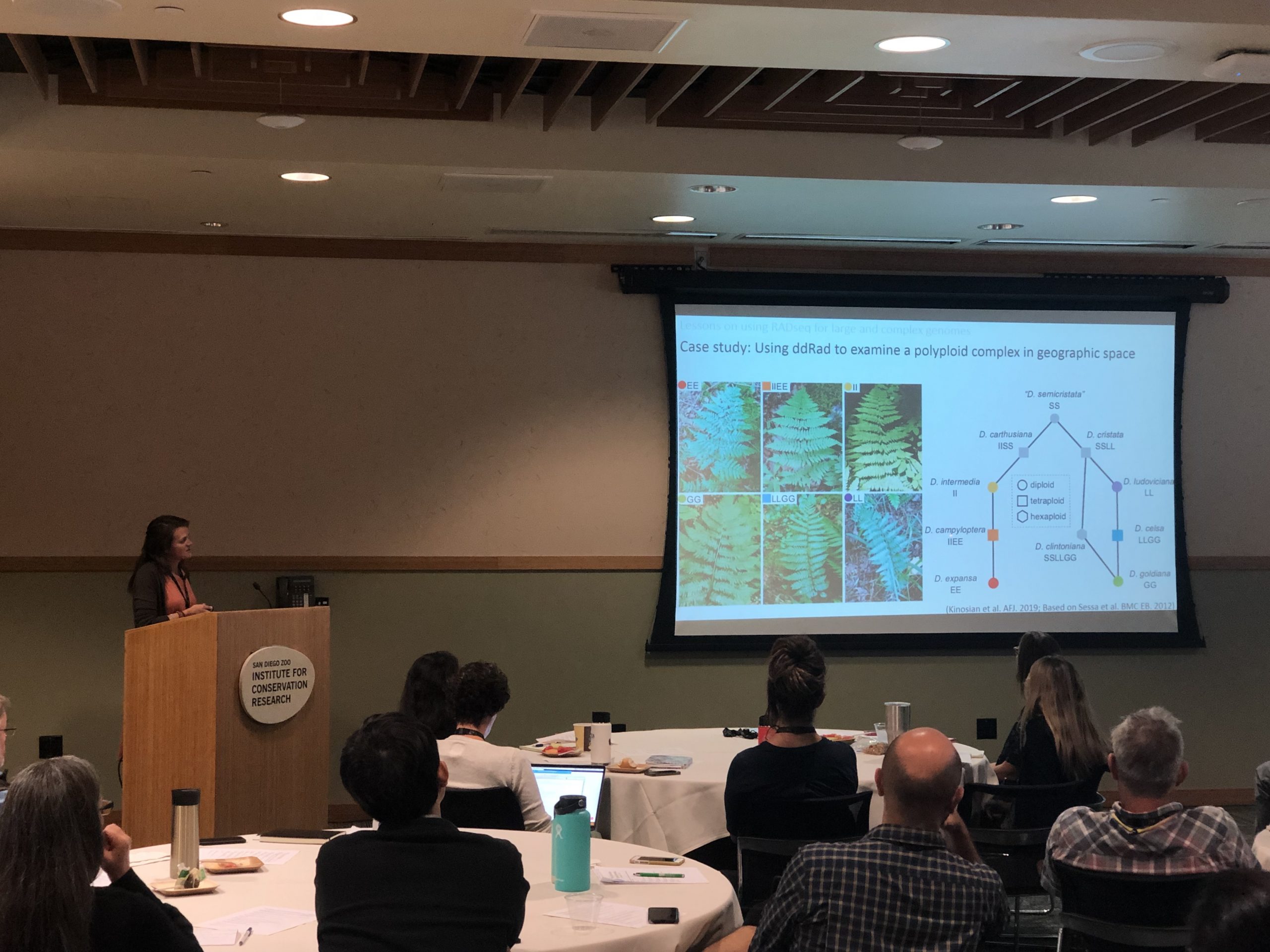 Sally Chambers, Ph.D., from Marie Selby Botanical Gardens, presented on her experiences using RAD-seq with species with large genomes.