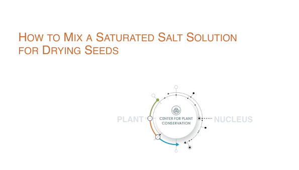 Screenshot of How to Prepare a Saturated Salt Solution to Dry Seeds video