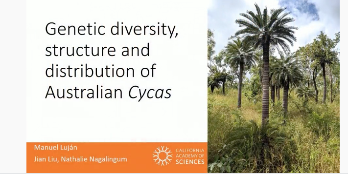 Screenshot of Genetic diversity, structure and distribution of Australian Cycas video