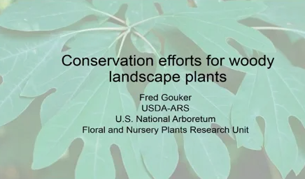 Screenshot of Genetic Diversity Assessment of Sassafras albidum for Conservation Efforts video