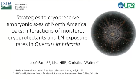 Screenshot of Strategies to Cryopreserve Embryonic Axes of North American Oaks: Interactions of Moisture, Cryoprotectants and LN Exposure Rates in Quercus imbricaria video