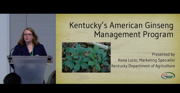Screenshot of Kentucky’s American Ginseng (Panax quinquefolius) Management Program video