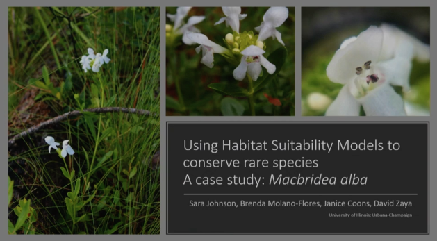 Screenshot of Habitat Suitability Models as a Conservation Tool for a Rare Mint, Macbridea alba video.