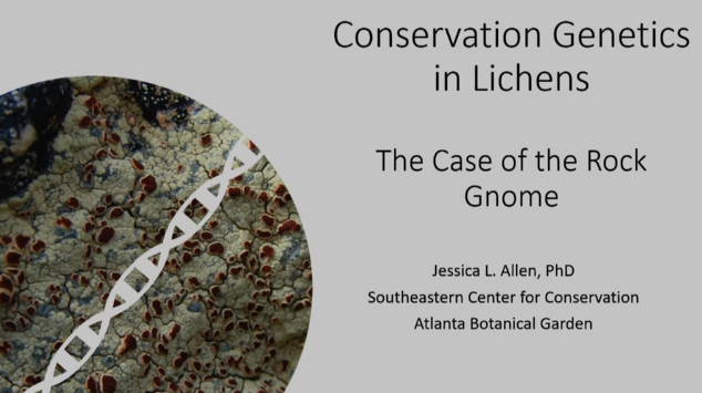 Screenshot of Conservation Genetics in Lichens video.