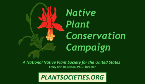 Screenshot of Native Plant Conservation Campaign video.
