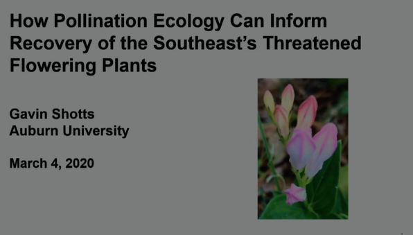 Screenshot of How Pollination Ecology Can Improve Recovery of the Southeast’s Threatened Flowering Plants video