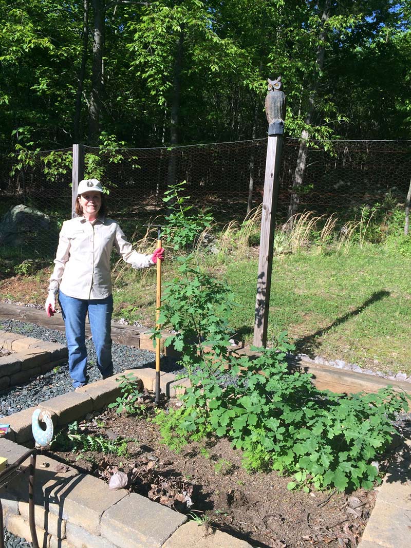 Lindsay’s environmental ethos is neatly represented in her garden, where a pollinator garden is tucked between solar panels and she provides her plants water collected from a rain barrel.