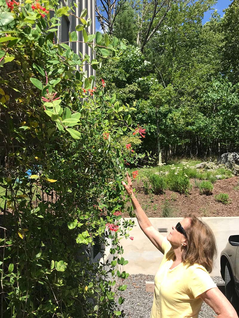 Lindsay Marshall in her garden.