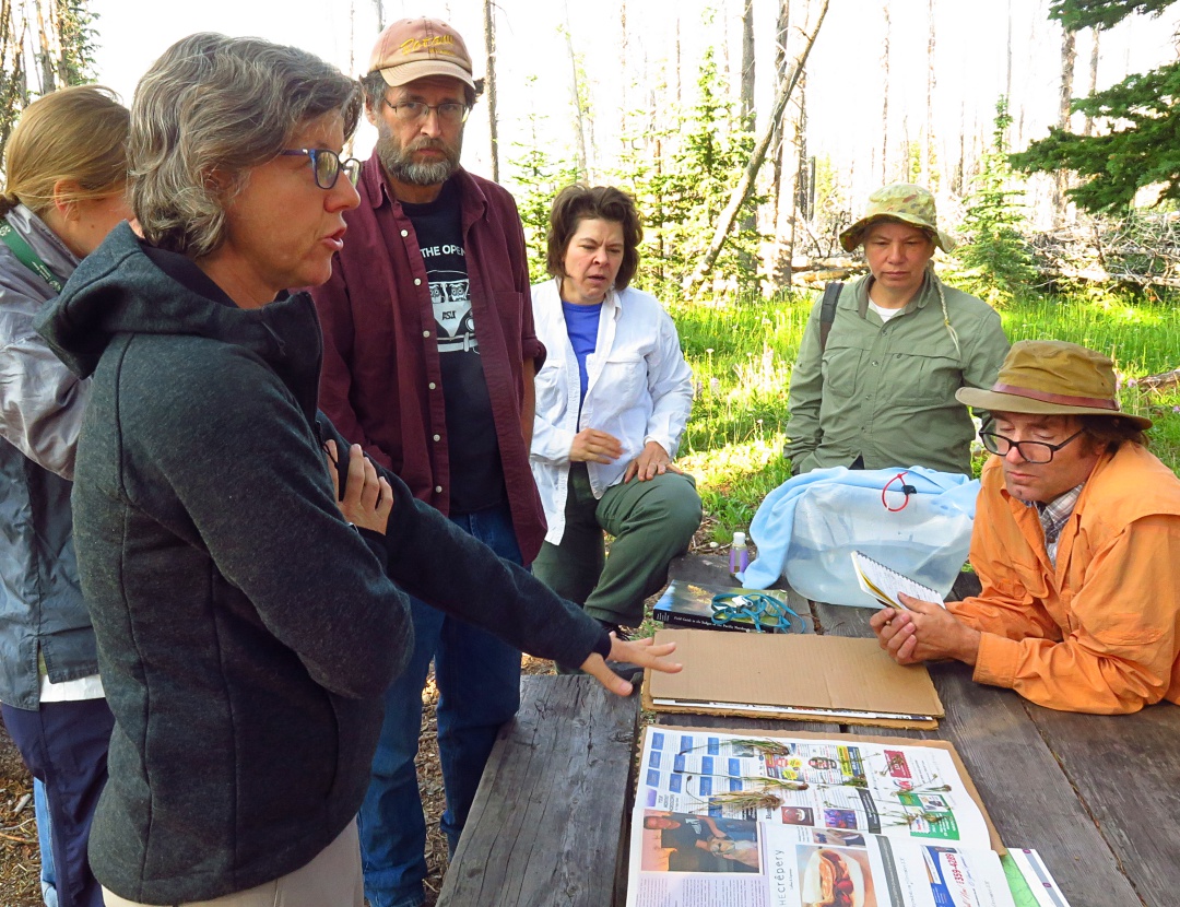 At Rare Care’s annual monitoring spring weekend, Wendy (foreground) goes over some vouchers with the Washington National Heritage Program botanist and a team of volunteers.