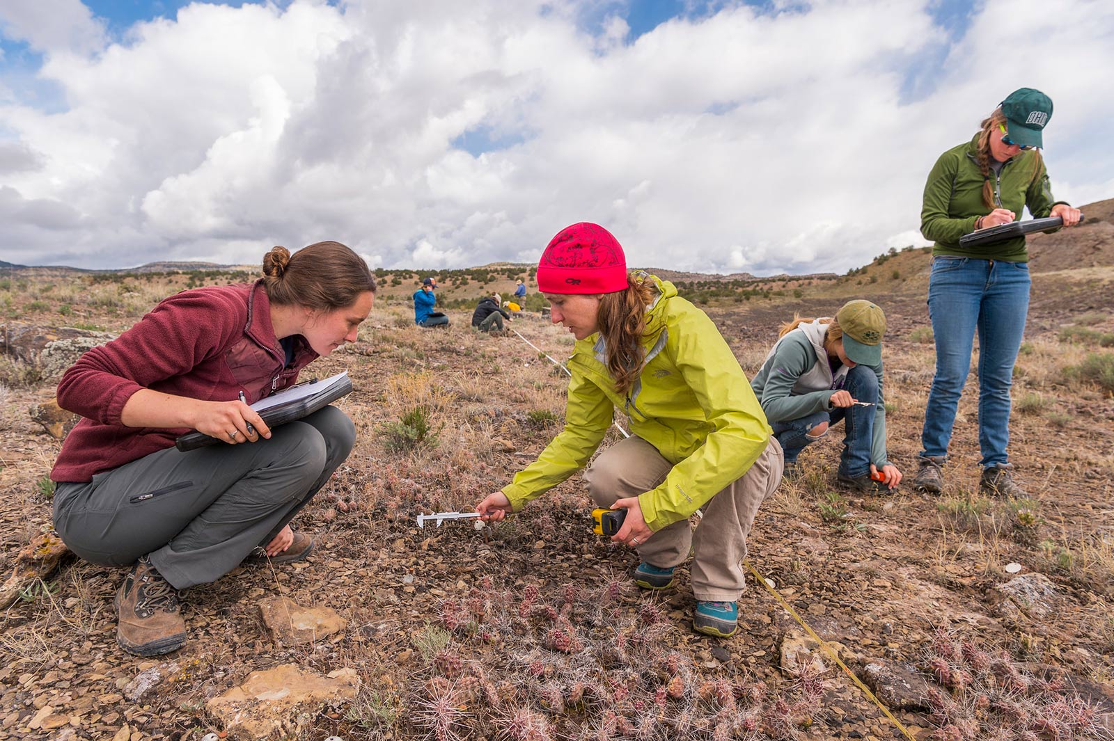 Photos: DBG research team in the field near De Beque, Colorado, for Sclerocactus glaucus. Photo credit: Scott Dressel Martin, courtesy of Denver Botanic Gardens.