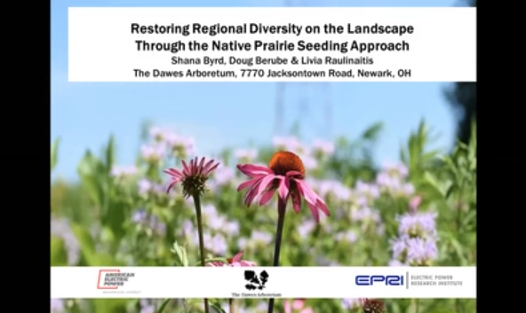 Screenshot of Restoring Regional Diversity on the Landscape through the Native Prairie Seeding Approach video.