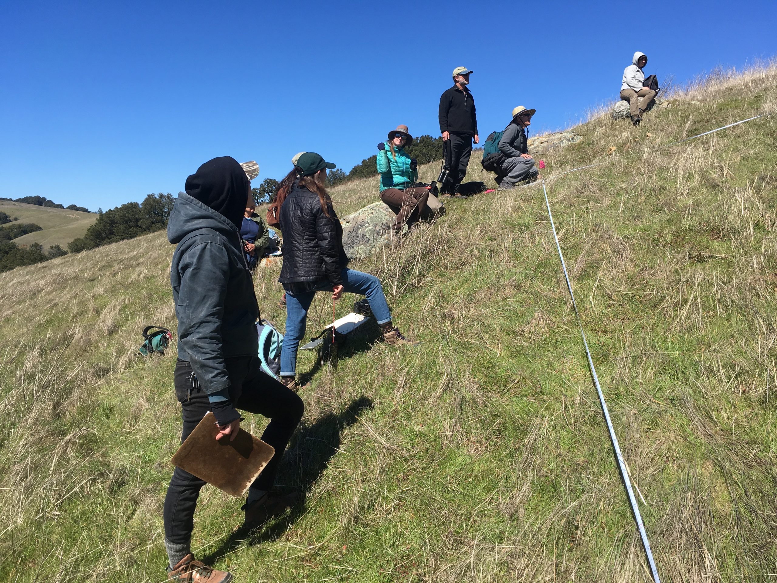 UCSC Arboretum students were trained in making releve surveys by Julie Evans from the California Native Plant Society. The training took place at one of the Midpeninsula Regional Open Space District properties, where UCSC students were used extensively in conducting surveys. Photo credit: Lucy Ferneyhough, courtesy of University of California Santa Cruz Arboretum.