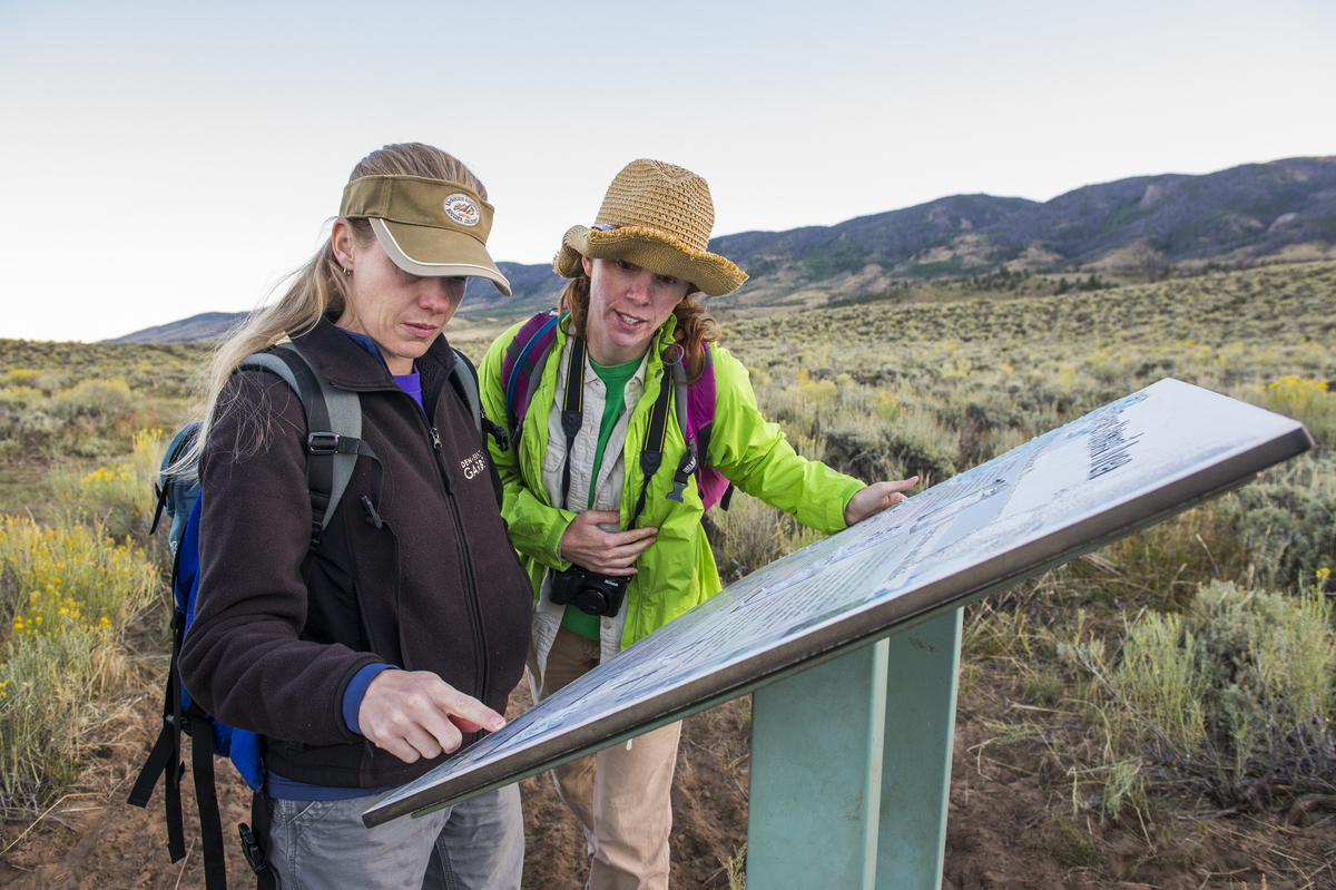 Jennifer (left) in the field studying Corispermum navicula.