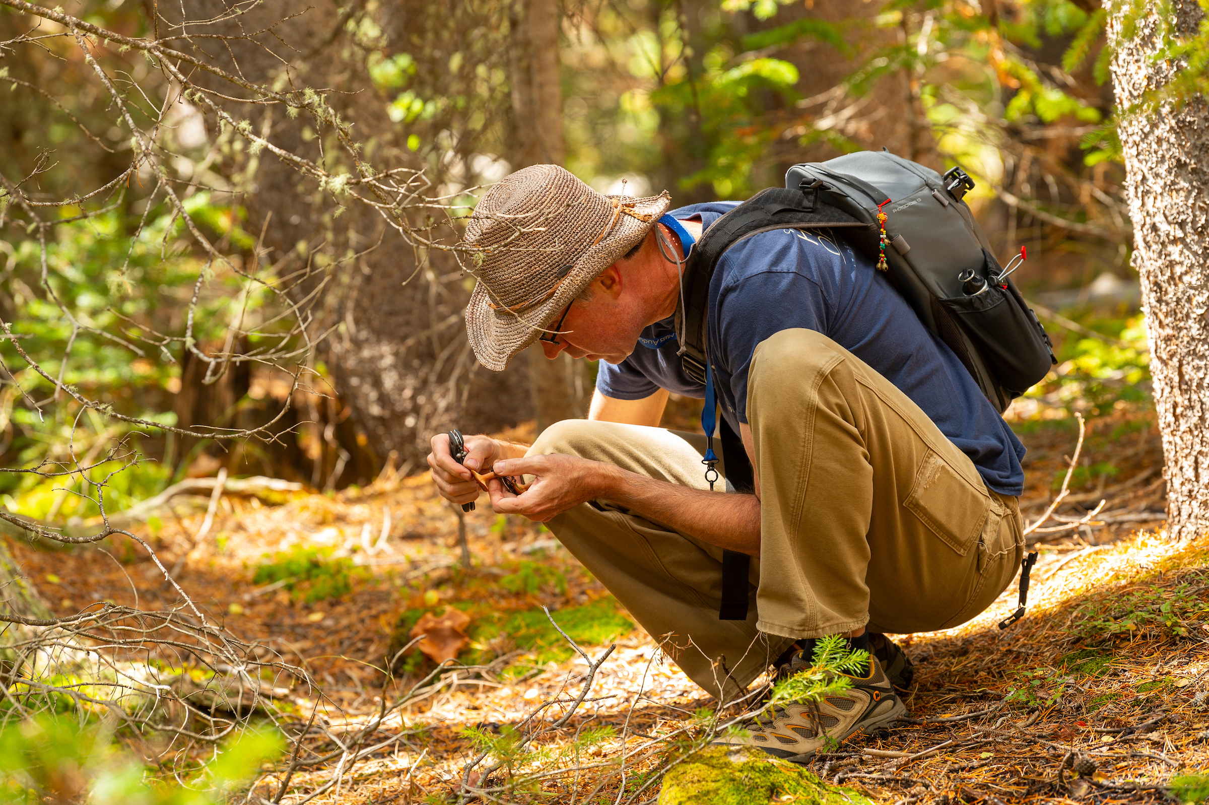 Andrew Wilson making collections near the Hall Valley Campground, adding to the Garden's mycological research collection.