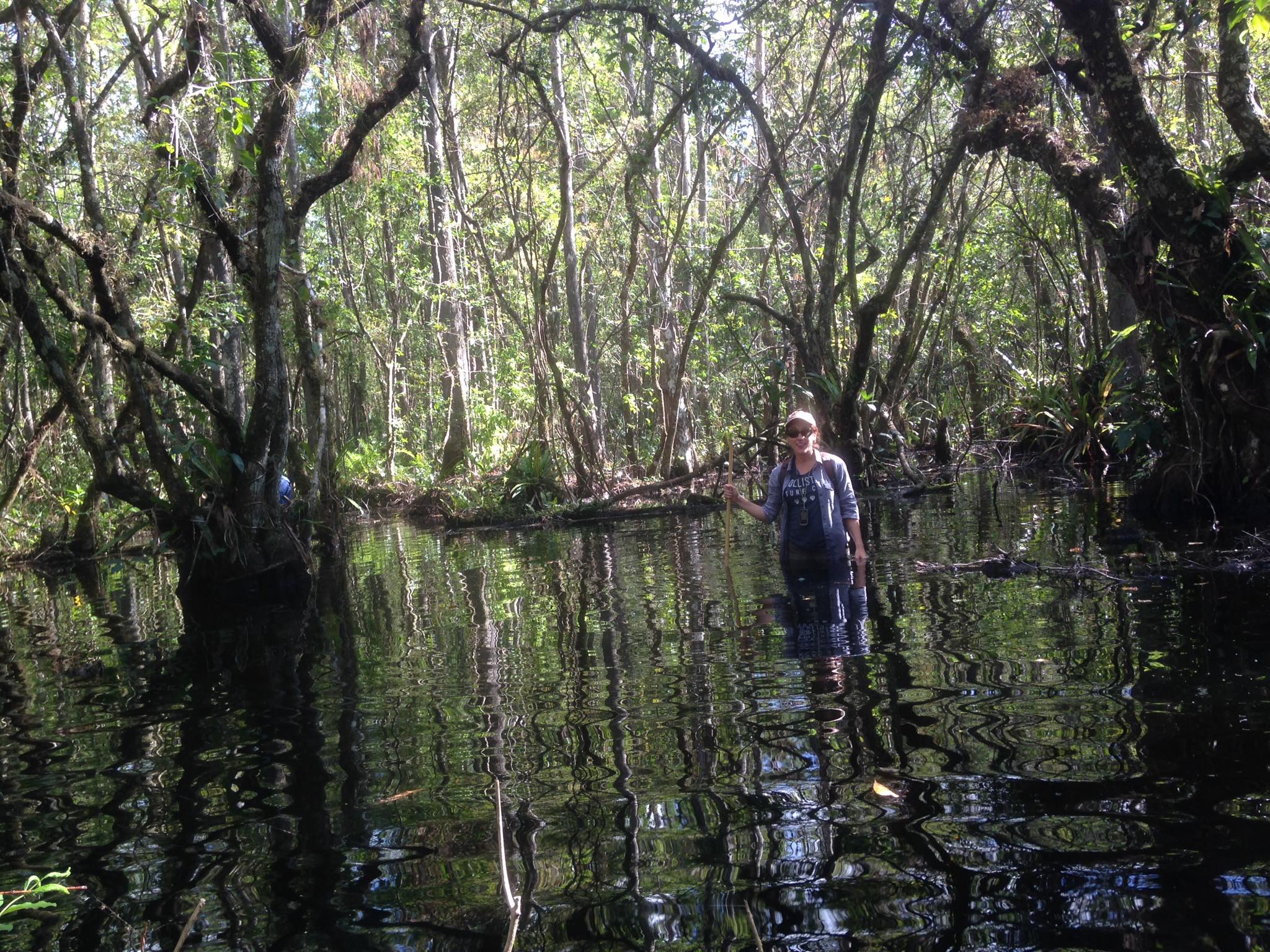 On a swamp tromp in Fakahatchee Strand Preserve State Park.