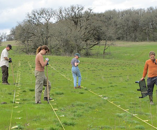 Golden Paintbrush restoration