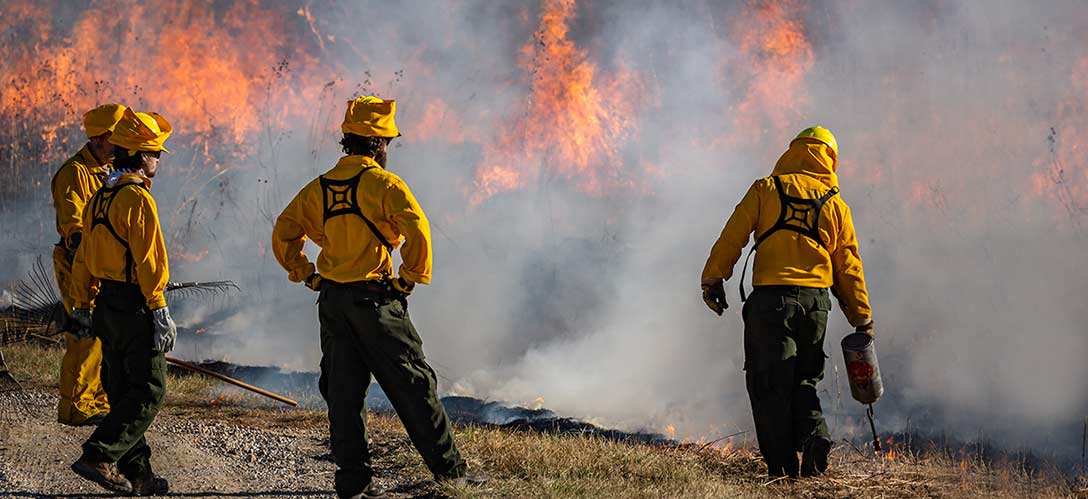 Trained staff and volunteers safely and effectively burn hundreds of acres of prairies, woodlands, glades, and wetlands each year to achieve ecological objectives and to promote biological diversity.