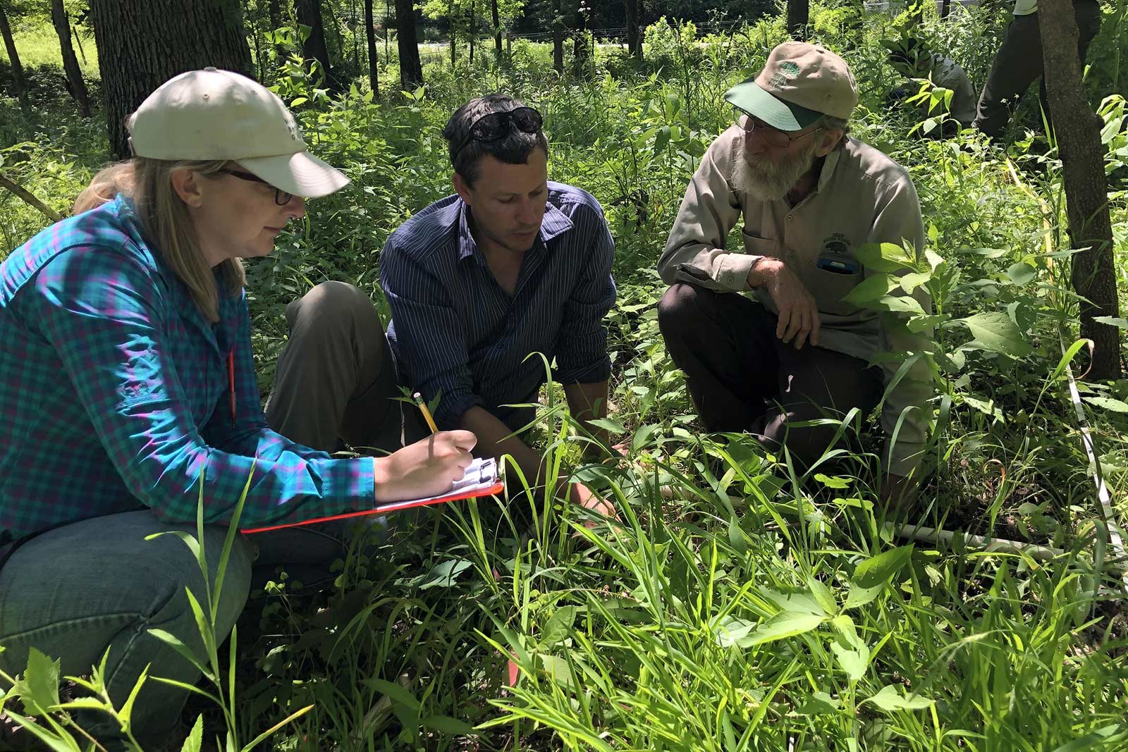 Garden scientists monitor a permanent vegetation plot in the Nature Reserve’s woodlands