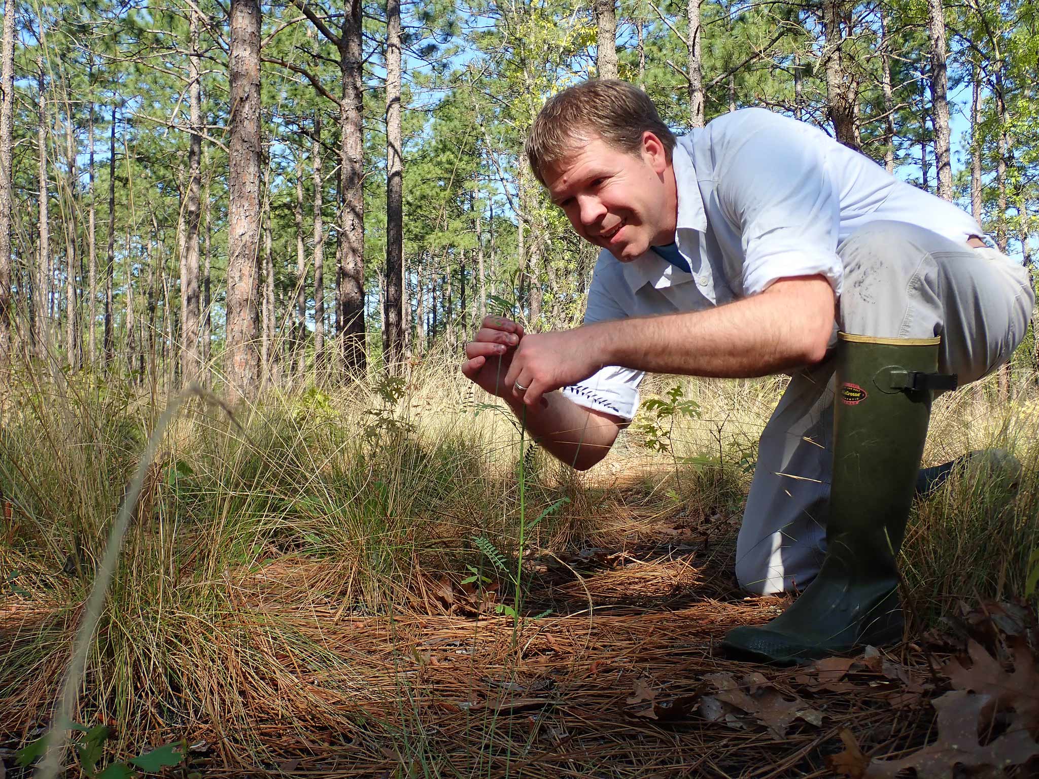 Fellowships Center for Plant Conservation