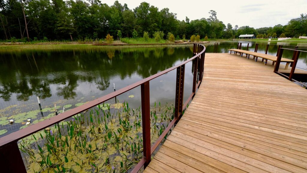 The lake edge, accessible by boardwalk.