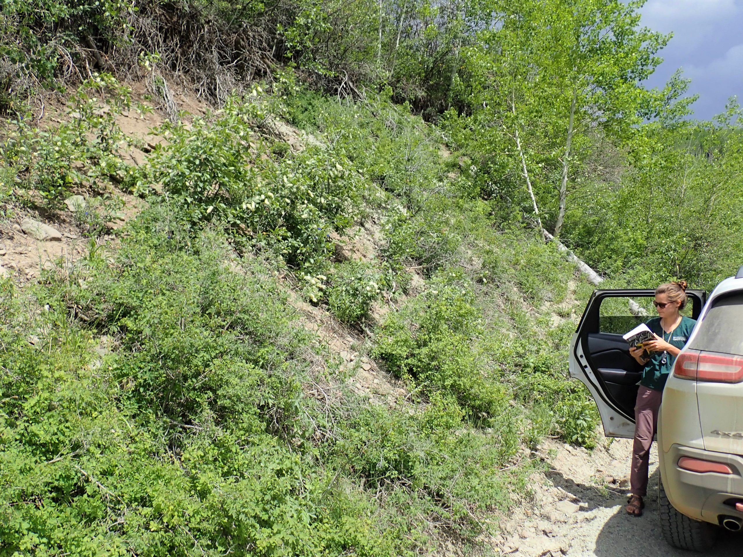 Alex Seglias in Grand Mesa National Forest.