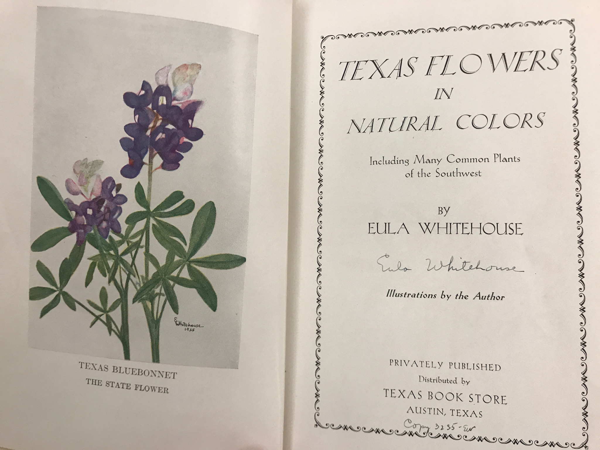 Eula Whitehouse’s book “Texas Flowers in Natural Colors”.