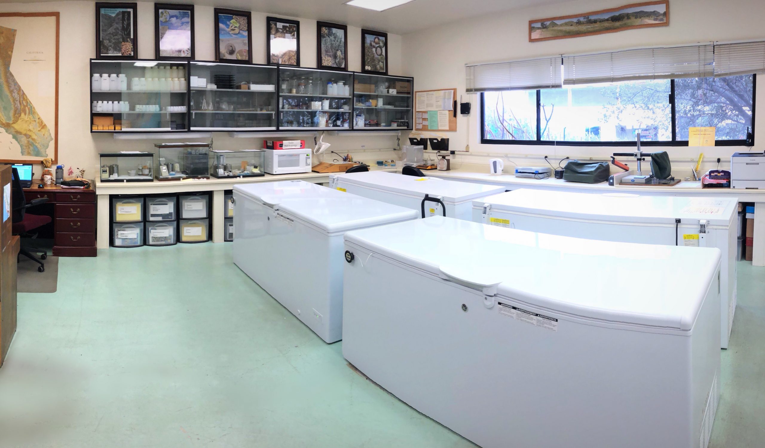 Rancho Santa Ana’s California Seed Bank is home to many of the collections, made by both RSA’s team and collaborating partners.