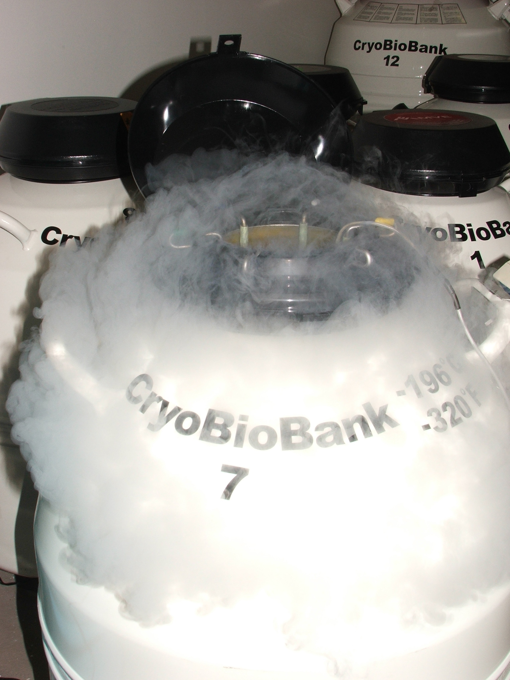 CREW’s CryoBioBank, where samples, such as those from Hawaii, will be stored.