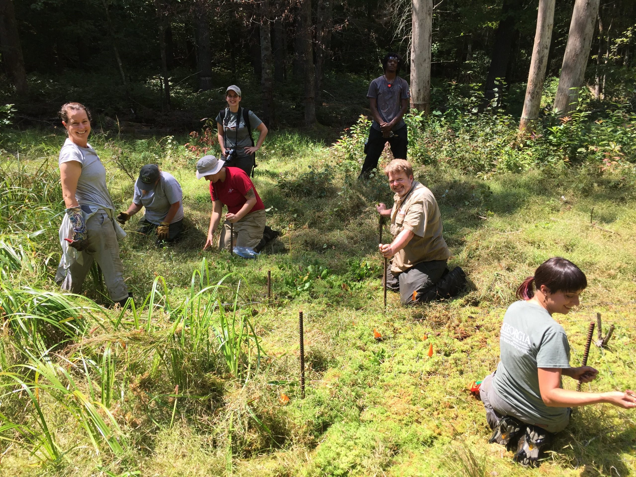 Ceska, at left with GPCA colleagues, “gardening” in situ around imperiled bog species to provide more light for flowering. GPCA partners include U.S. Forest Service staff and interns, Atlanta Botanical Garden staff (Jess Stephens in red), Georgia Department of Natural Resources staff. Photo credit: Lila Uzzell, courtesy of Atlanta Botanical Garden.