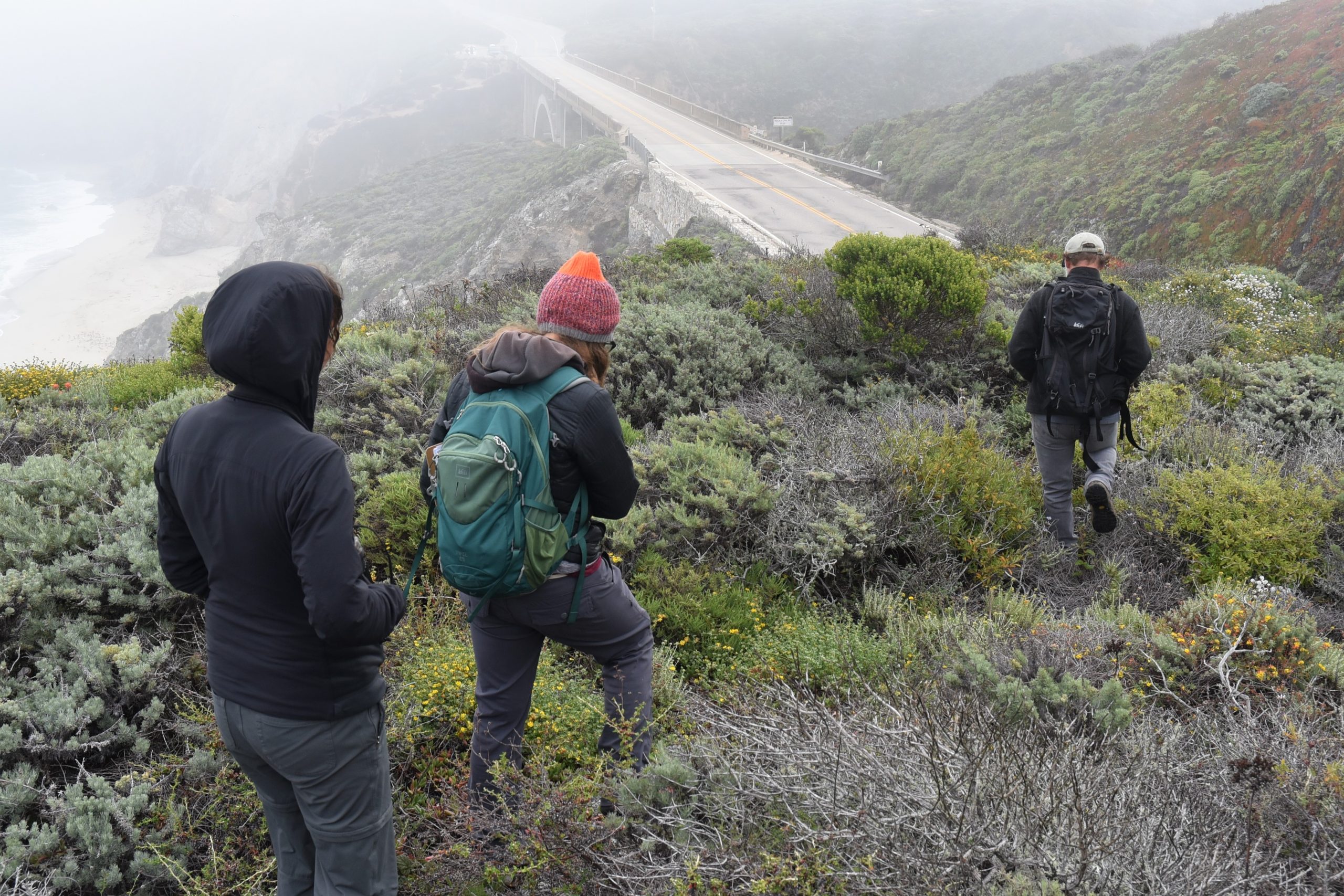 Field surveys on the California central coast.