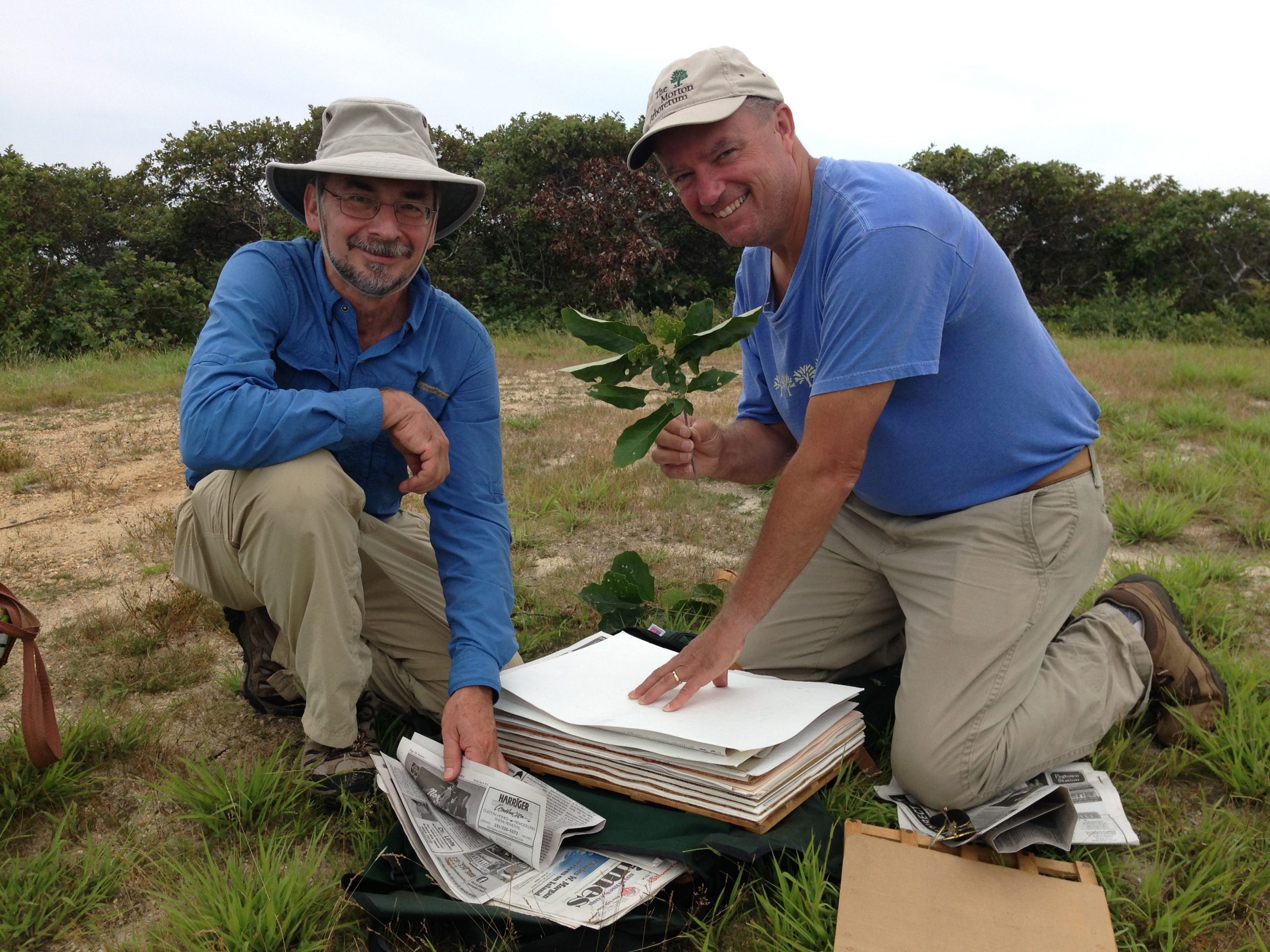 Polly Hill Arboretum Executive Director Tim Boland and Research Associate Greg Palermo collecting vouchers on Martha’s Vineyard. Photo courtesy of Polly Hill Arboretum.