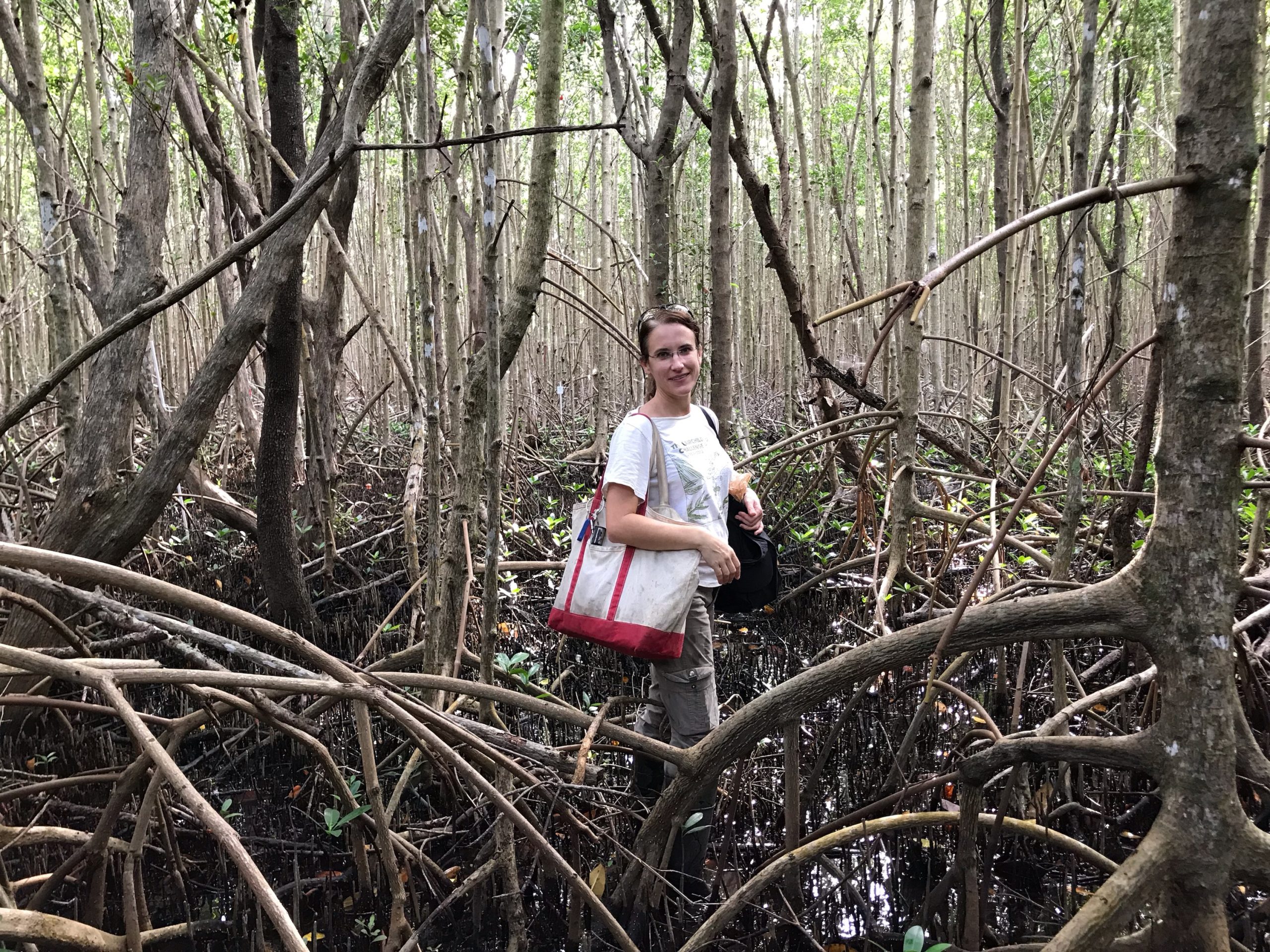 At the Deering Estate in Miami, Jennifer enjoys trekking through the prop roots of the tall mangroves to reach monitoring plots in the preserve.