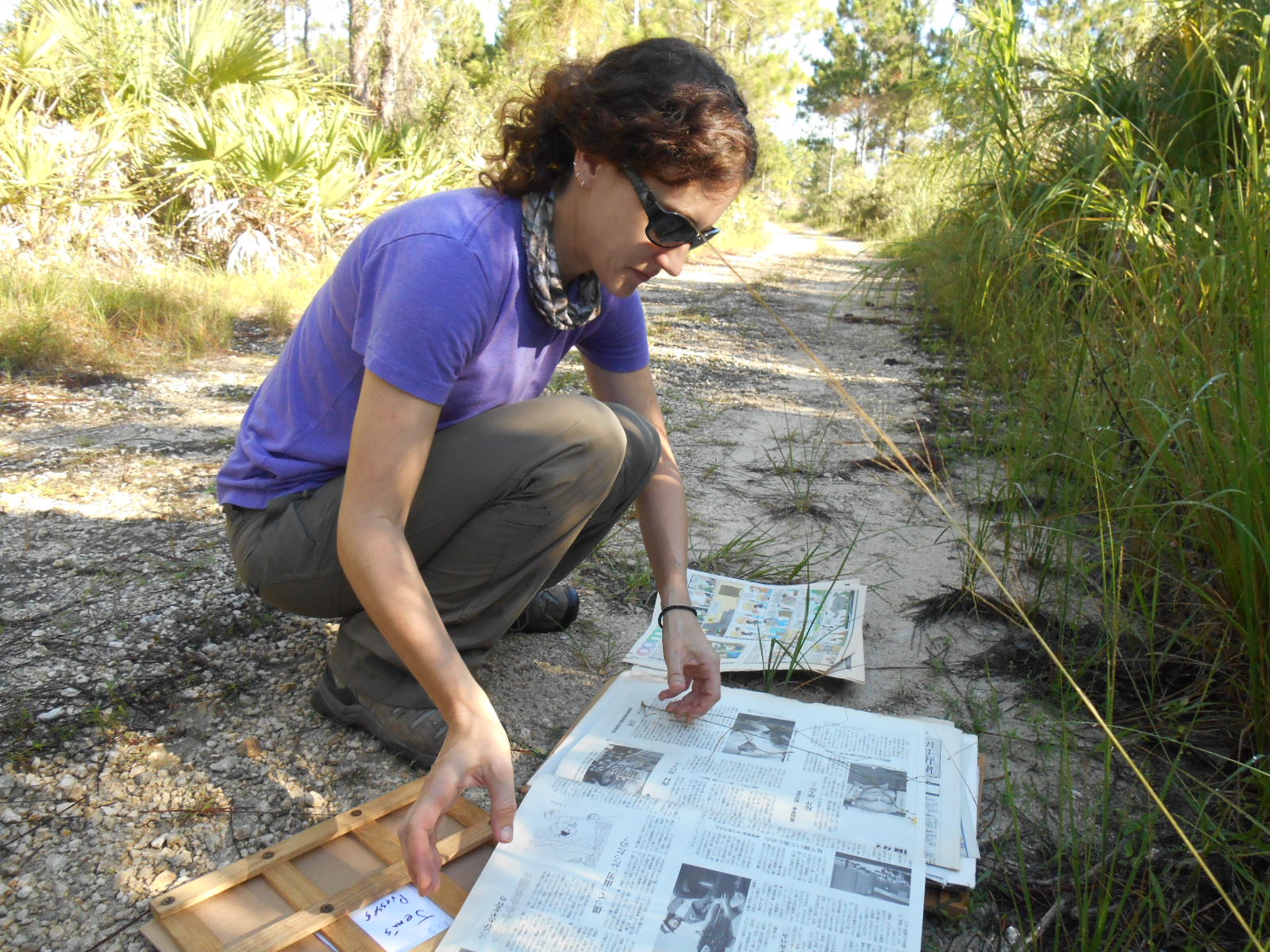 Jenn makes an herb specimen.