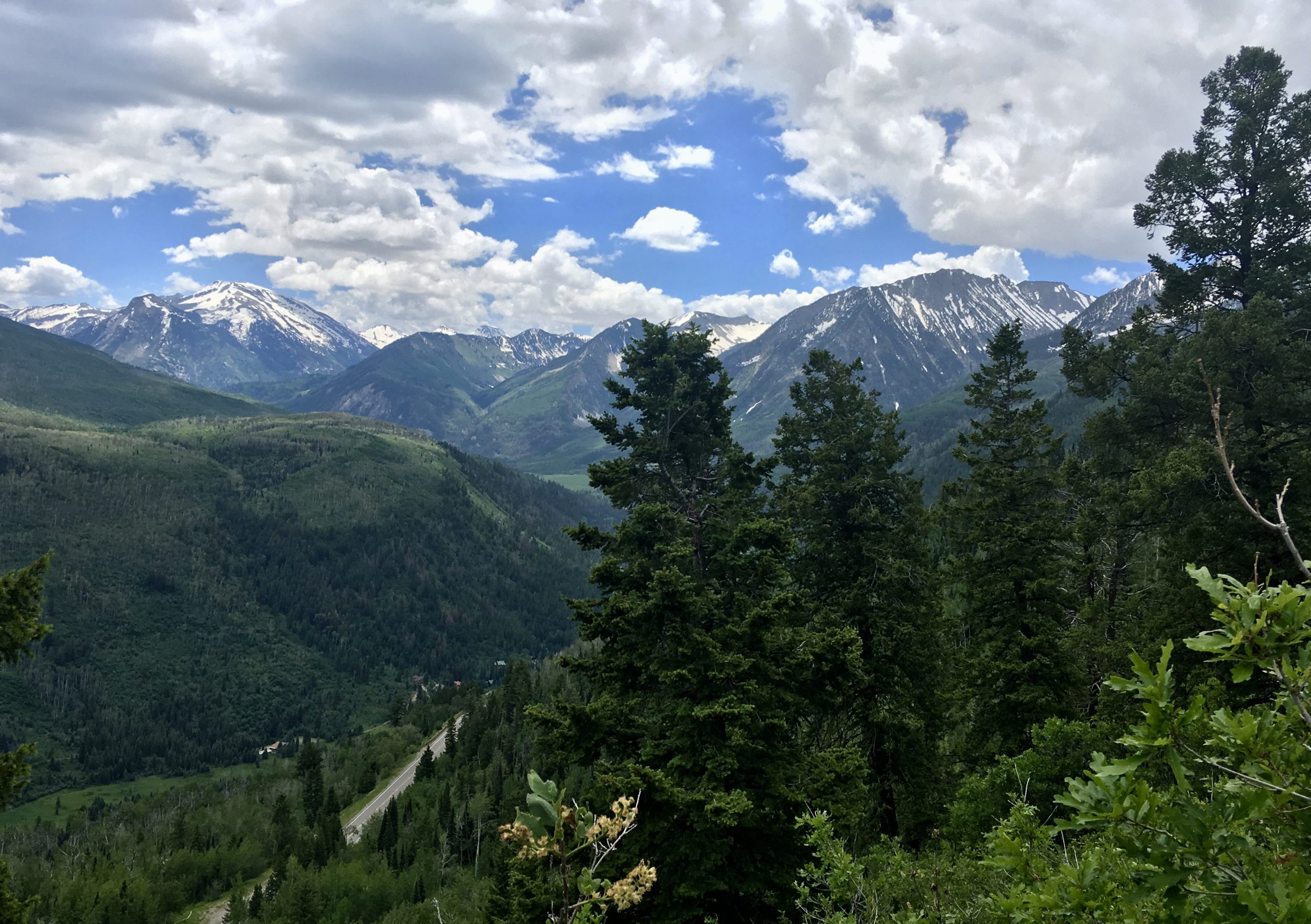 Seed collections in remote places offer great views, like this one from the McClure Pass population of Grand Mesa beardtongue.