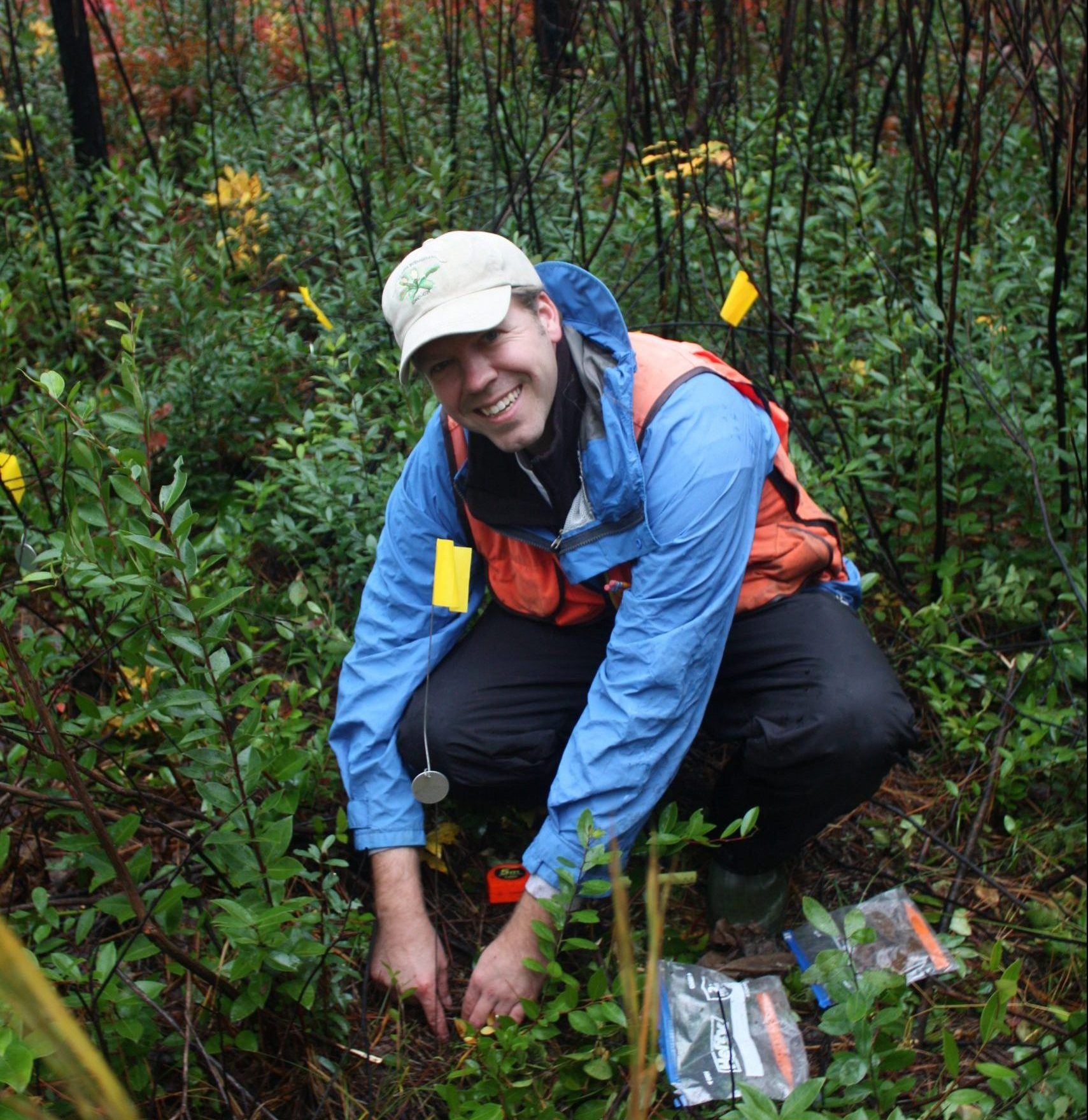 Mike Kunz (NCBG) plants Lysimachia asperulifolia.