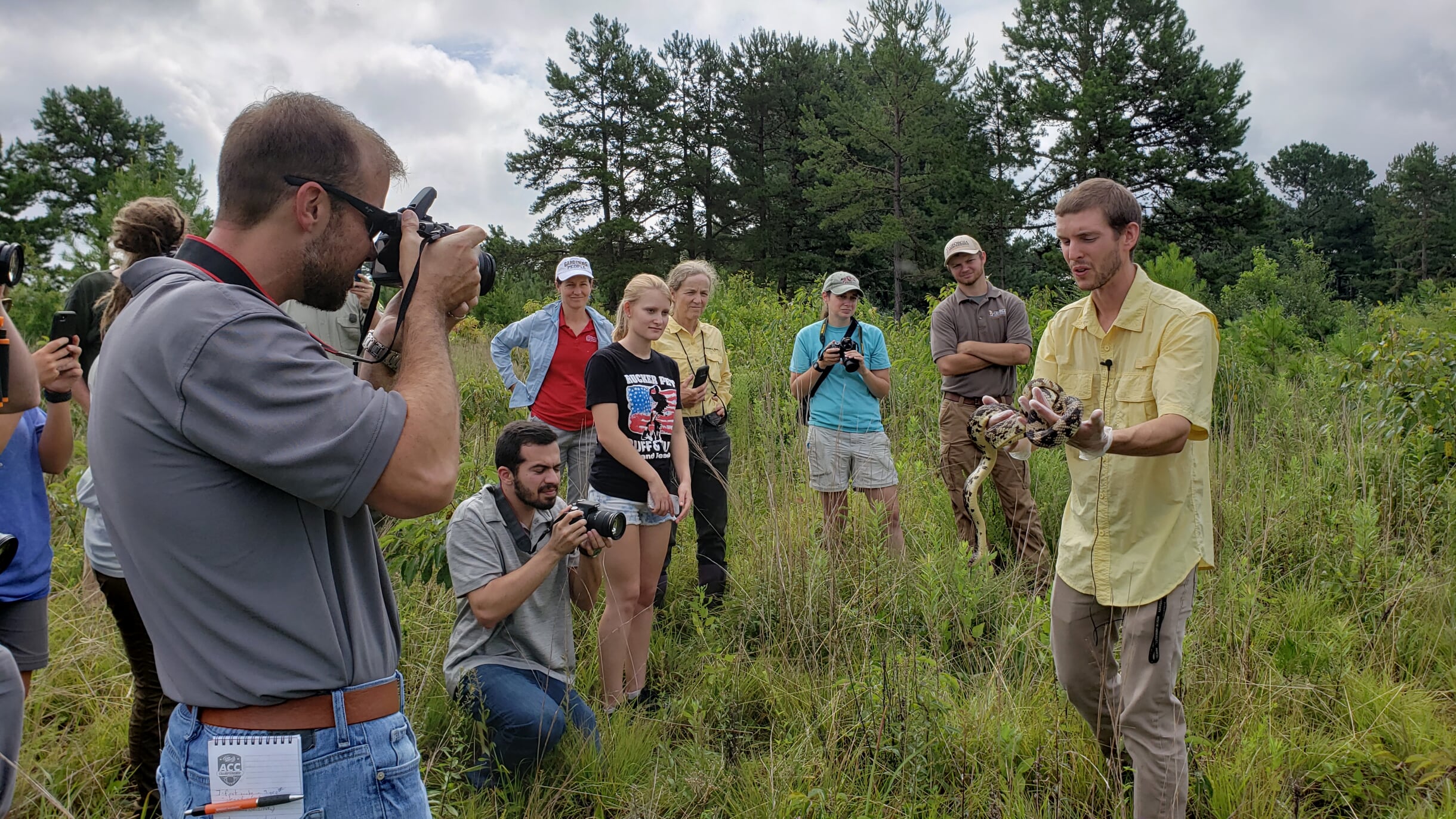 This snake release was a career highlight in 2019 for Ceska in red. Clemson University PhD Candidate, Bryan Hudson and his technicians had been looking for this species of Pine Snake, Pituophis melanoleucus, S3, Georgia Threatened, in North Georgia for nine years. Finding this snake, named Russell, was credited to the habitat restoration for Smooth Coneflower, Echinacea laevigata, G2/S2, work led in Georgia by the US Forest Service and the GPCA. Photo credit: Patricia Ceska.