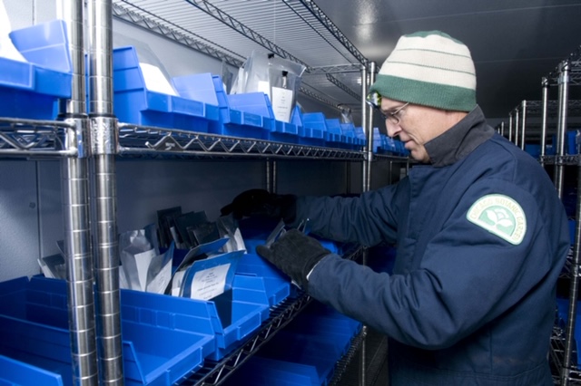 Chicago Botanic Garden's seed bank within the Daniel F. and Ada L. Rice Plant Conservation Science Center remains stable, but curation activities have not been able to continue.