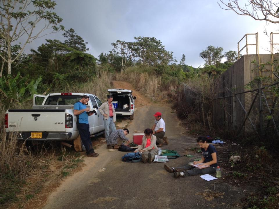 The team processes specimens after a day of field work in Puerto Rico.