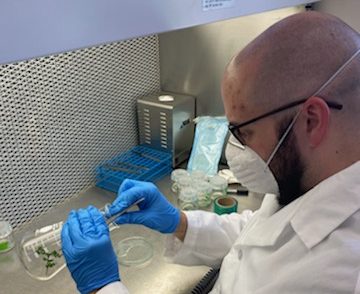 Dr. Ree has been able to provide care for tissue cultured specimens and continue some experiments during stay-at-home orders – scheduling time to work solo in the lab and following strict cleaning protocols. Photo credit: Jill Andrews, courtesy of San Diego Zoo Global.