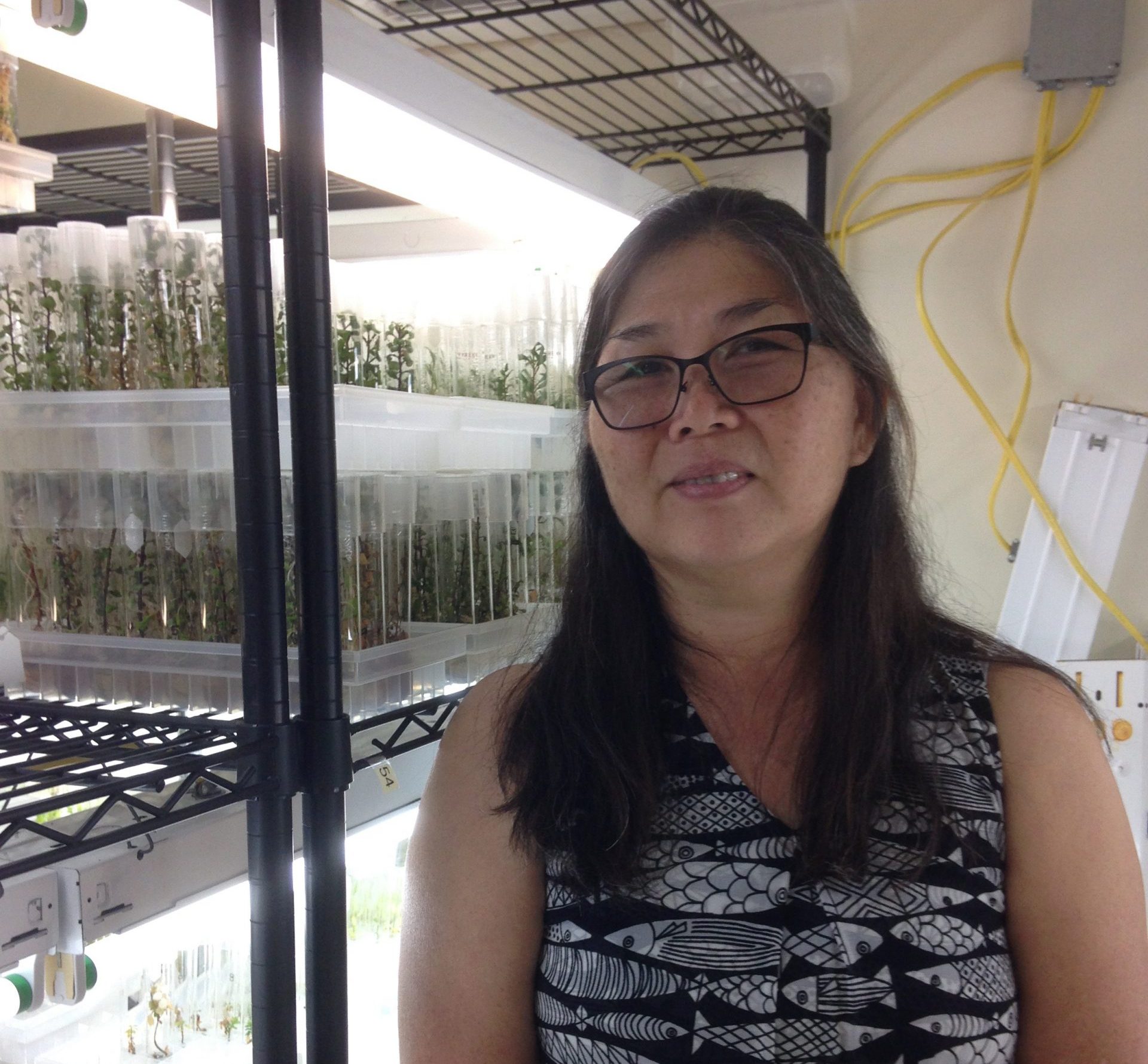 Nellie Sugii, a key partner in the part of the collaboration focused on Hawaiian species, stands in her new micropropagation lab at Lyon Arboretum.