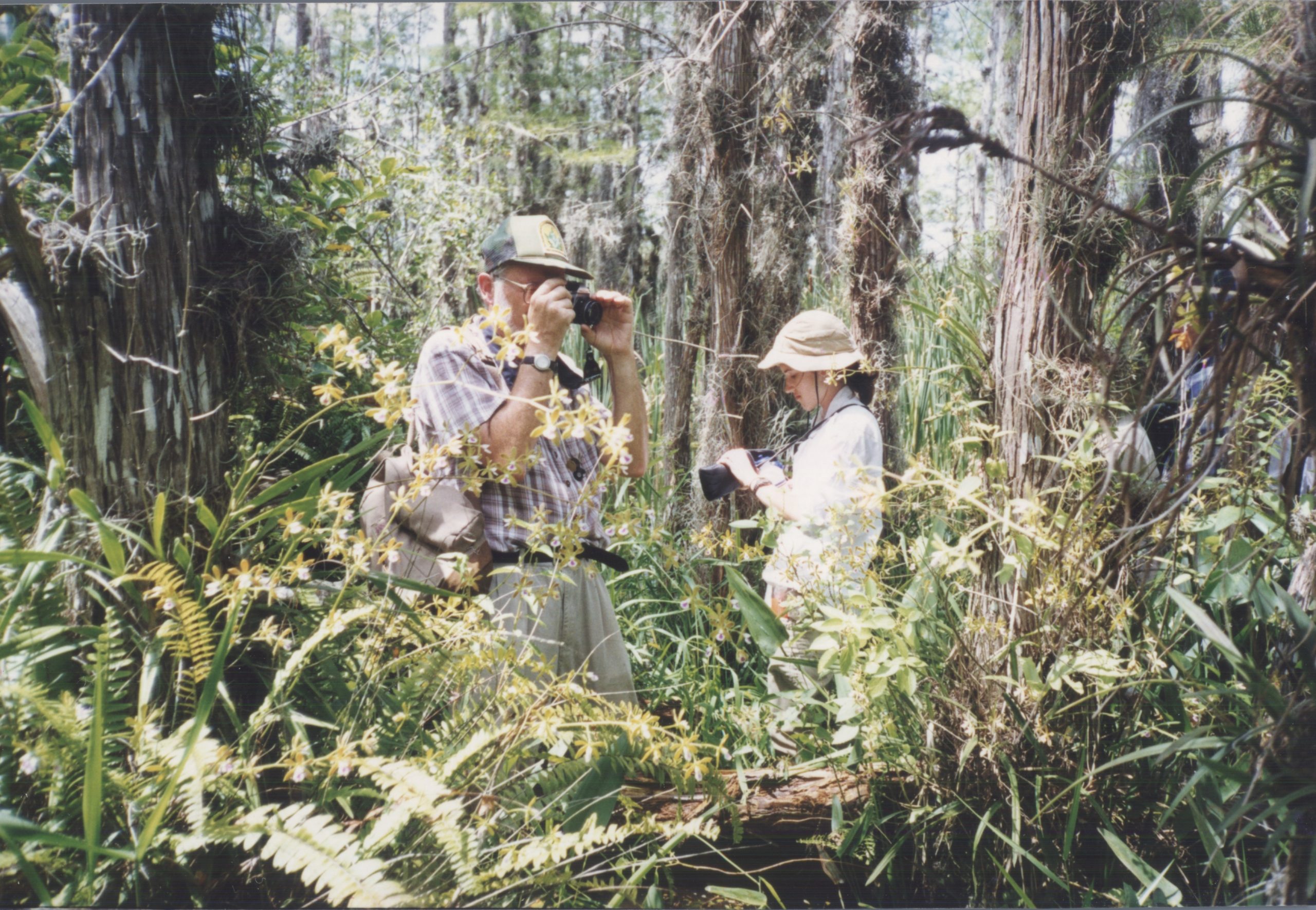 Jennifer discovered botany in graduate school, a spark fanned by Walter Judd and his tropical botany class.